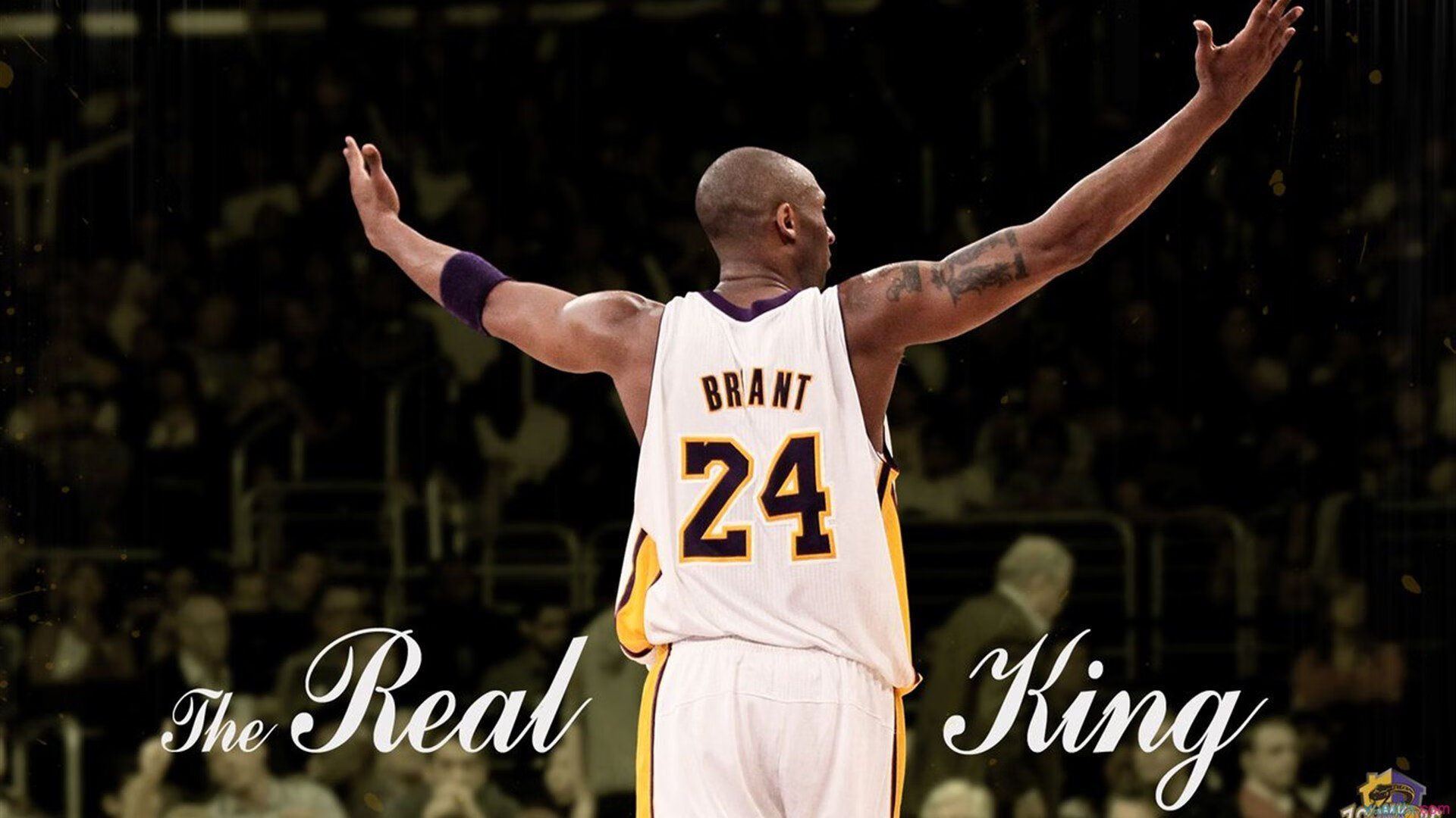 开云网页版-_草地之王：在温布尔登赢得冠军的秘密_，草地之王是谁